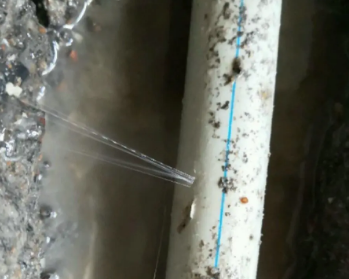 长宁卫生间测漏水多少钱
